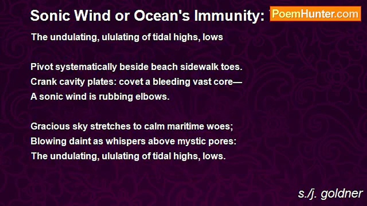s./j. goldner - Sonic Wind or Ocean's Immunity: Villanelle
