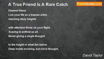 David Taylor - A True Friend Is A Rare Catch