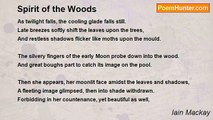Iain Mackay - Spirit of the Woods