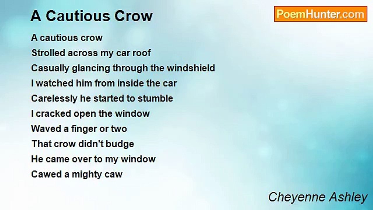 Cheyenne Ashley - A Cautious Crow