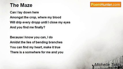 Michelle Tiddy - The Maze