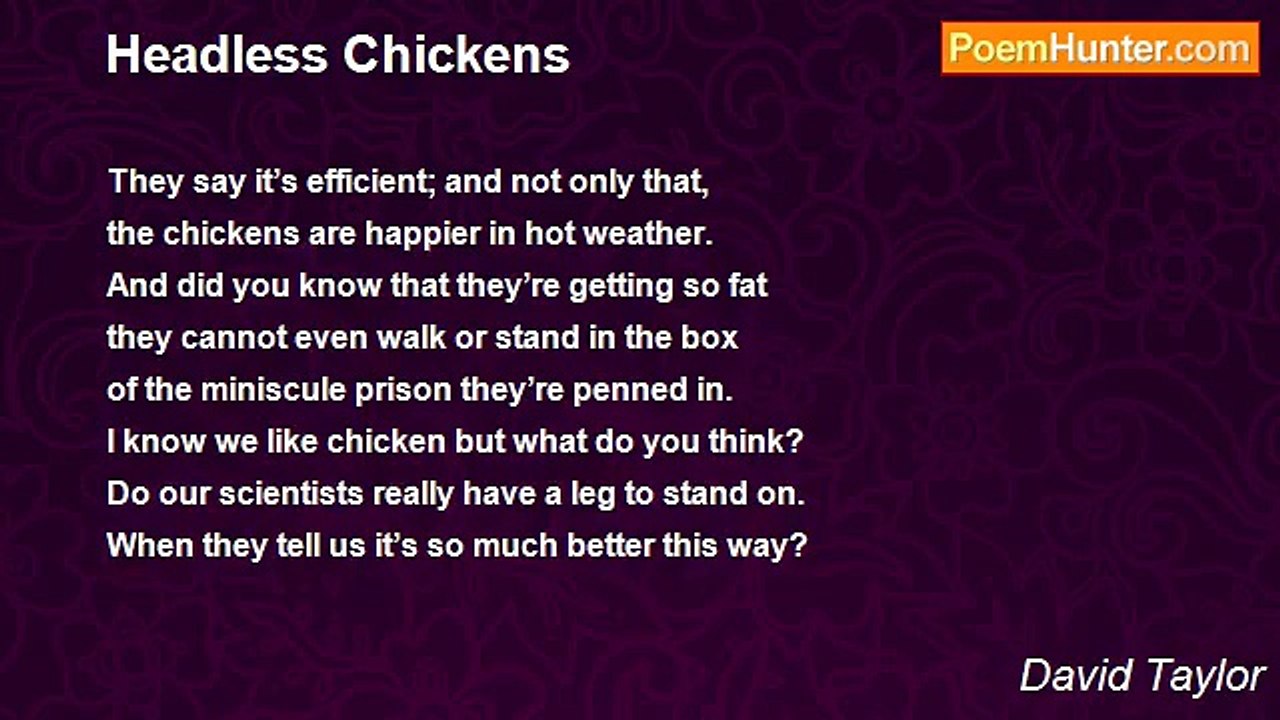 David Taylor - Headless Chickens