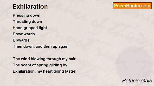 Patricia Gale - Exhilaration