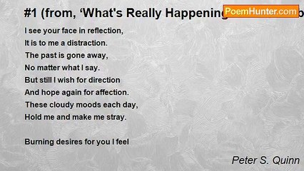 Peter S. Quinn - #1 (from, ‘What's Really Happening - In 54 numbers’)
