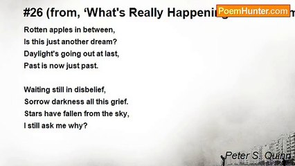 Peter S. Quinn - #26 (from, ‘What's Really Happening – In 54 Numbers’)