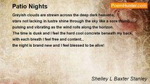 Shelley L Baxter - Patio Nights