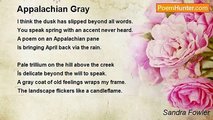 Sandra Fowler - Appalachian Gray
