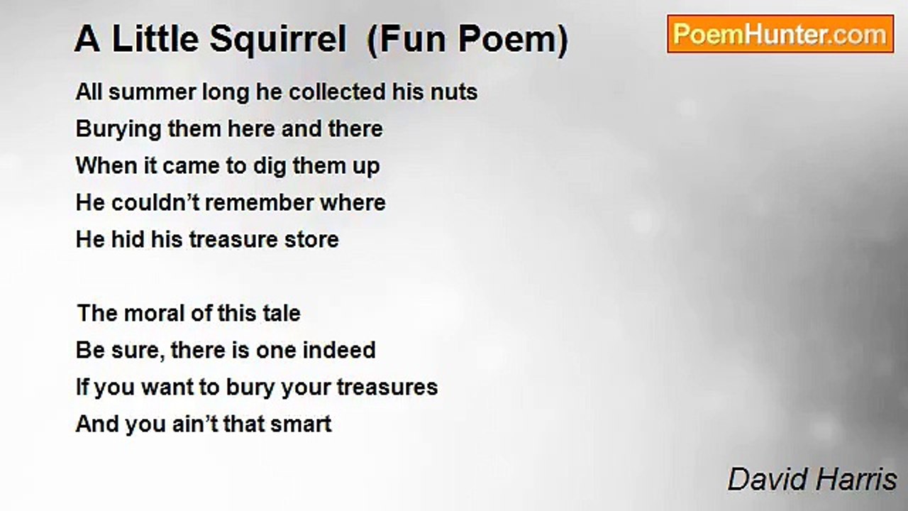 David Harris - A Little Squirrel  (Fun Poem)
