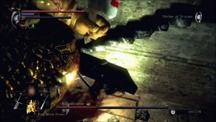 Demon's Souls Wanderer Walkthrough Part 10