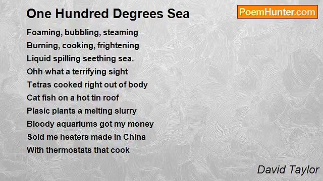 David Taylor - One Hundred Degrees Sea