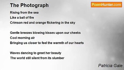 Patricia Gale - The Photograph
