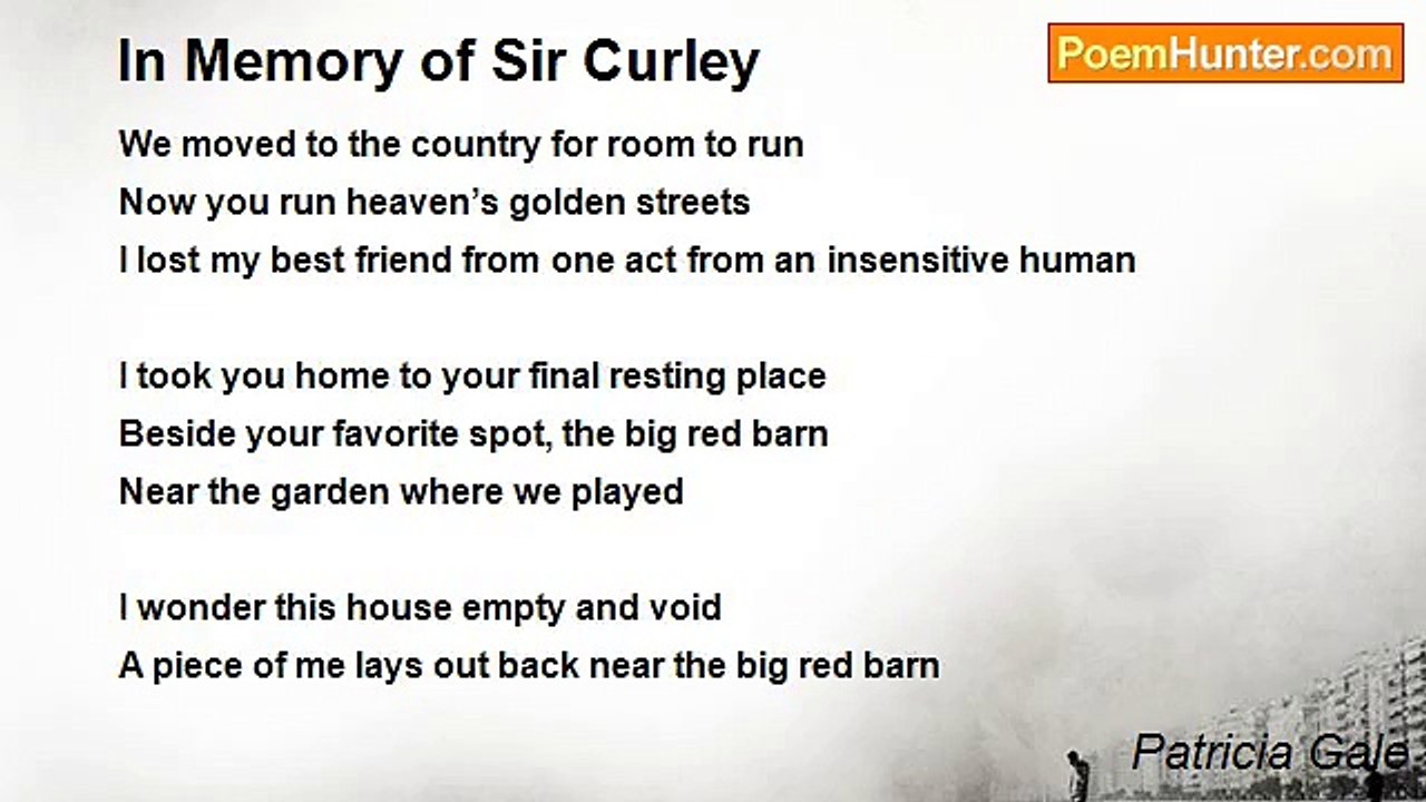 Patricia Gale - In Memory of Sir Curley