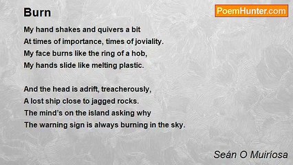 Seán O Muiríosa - Burn