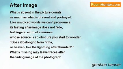 gershon hepner - After Image