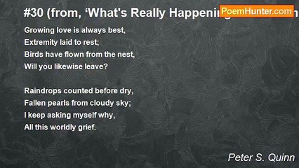 Peter S. Quinn - #30 (from, ‘What's Really Happening - In 54 numbers’)