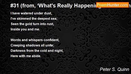 Peter S. Quinn - #31 (from, ‘What's Really Happening - In 54 numbers’)
