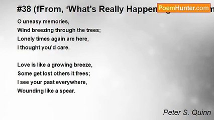 Peter S. Quinn - #38 (fFrom, ‘What's Really Happening-In 54 Numbers’)