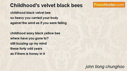 john tiong chunghoo - Childhood's velvet black bees