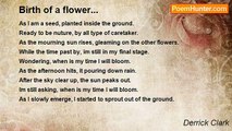 Derrick Clark - Birth of a flower...