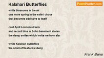 Frank Bana - Kalahari Butterflies