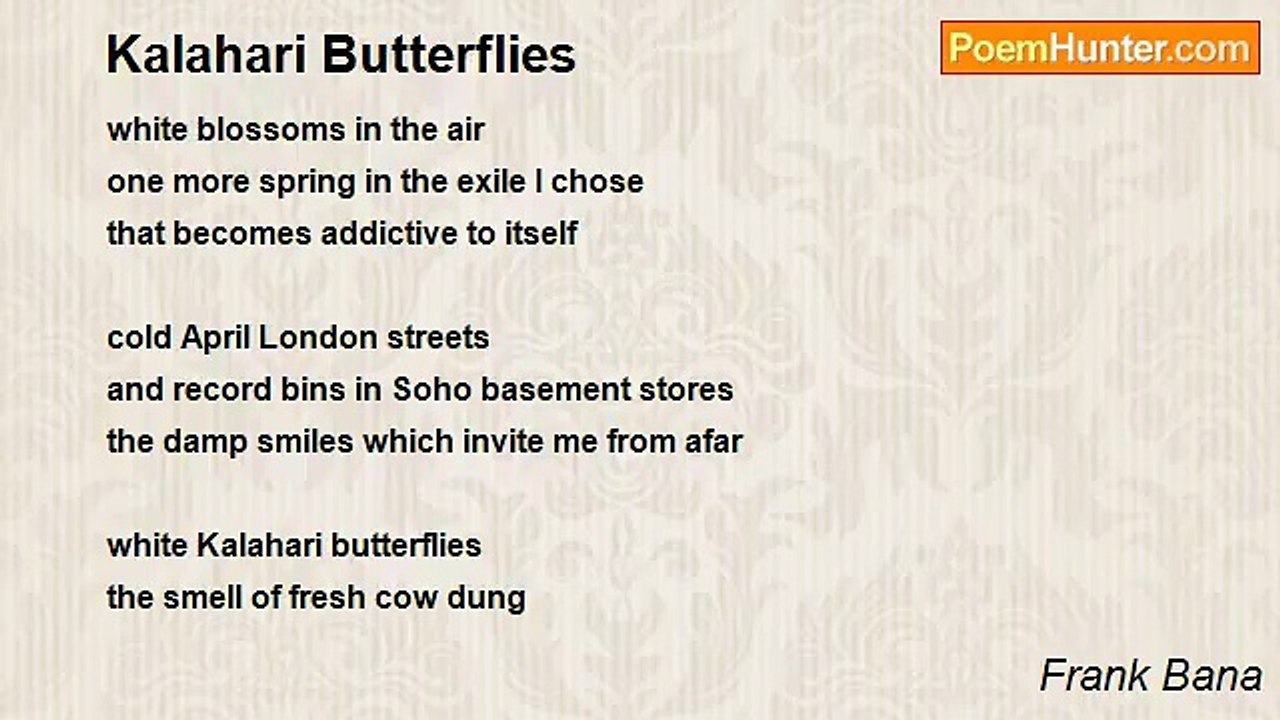 Frank Bana - Kalahari Butterflies