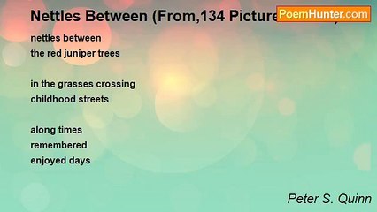 Peter S. Quinn - Nettles Between (From,134 Picture Poems)