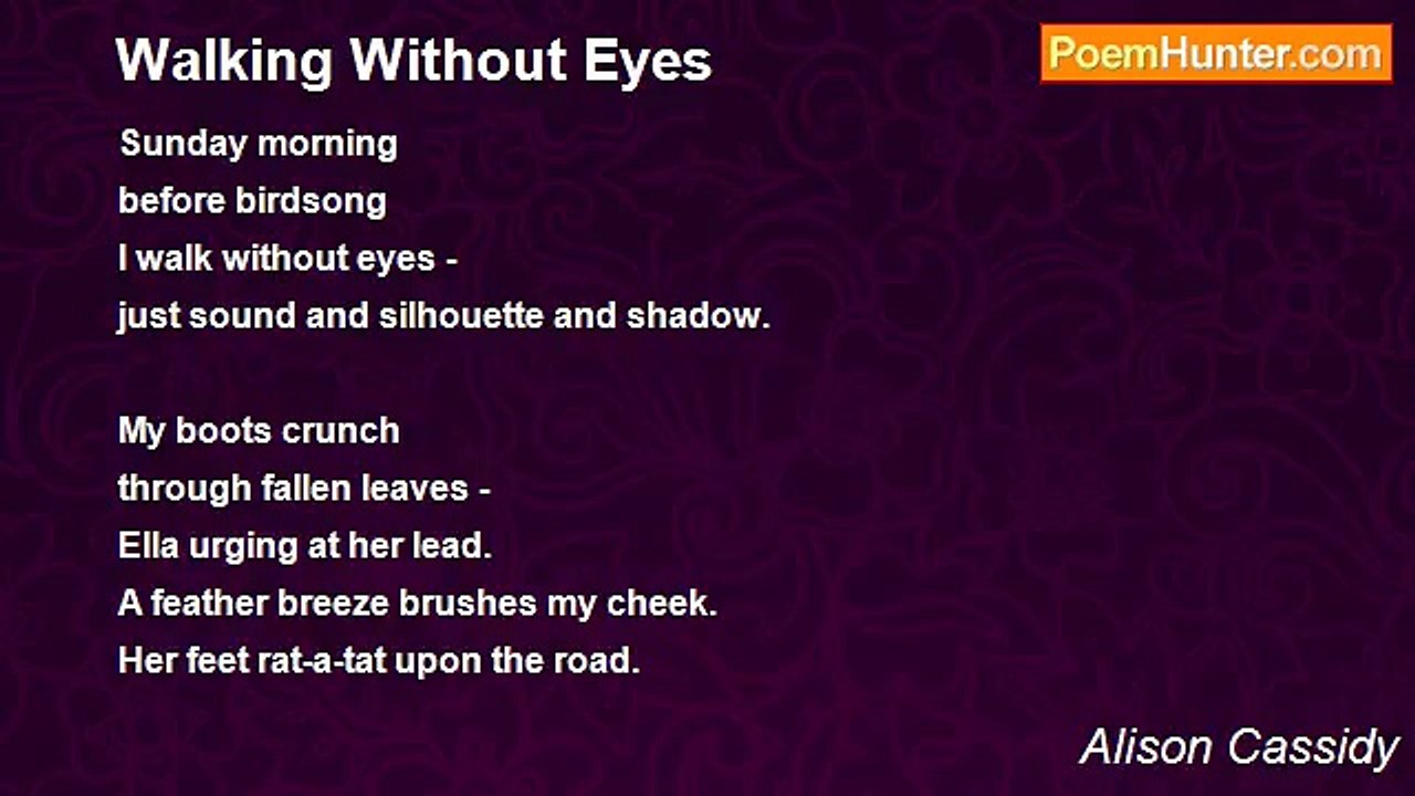 Alison Cassidy - Walking Without Eyes