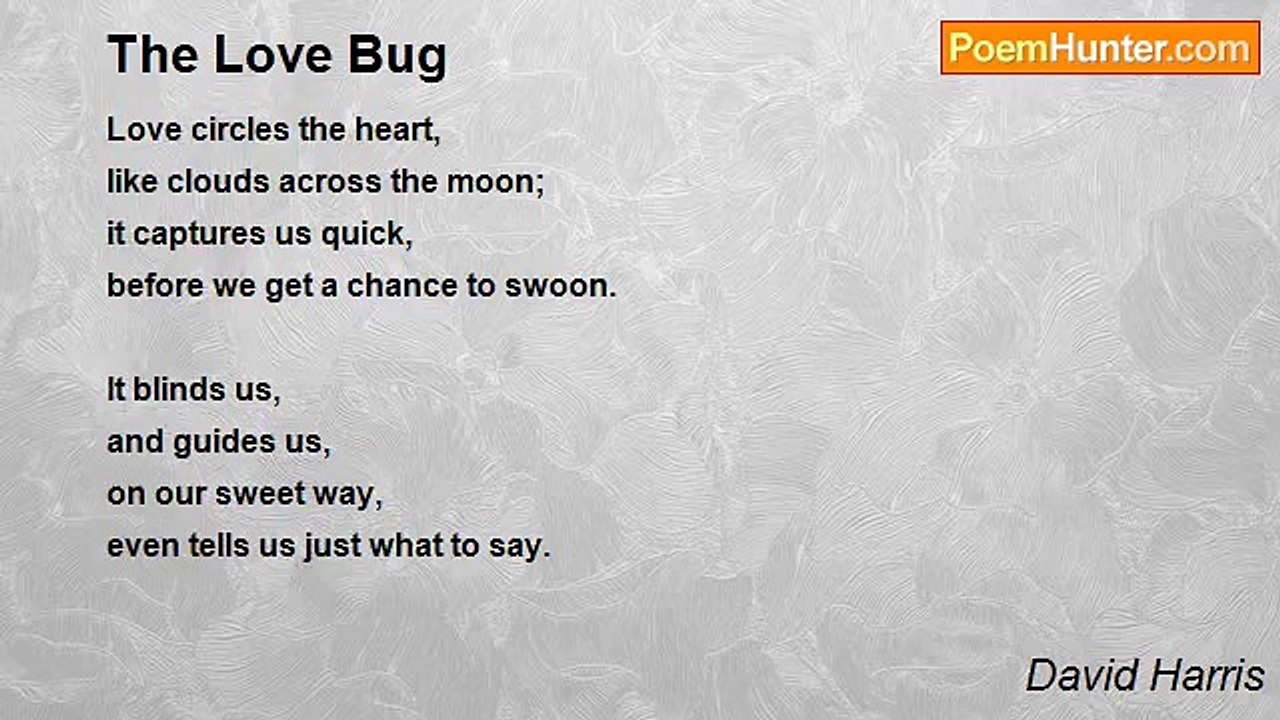 David Harris - The Love Bug