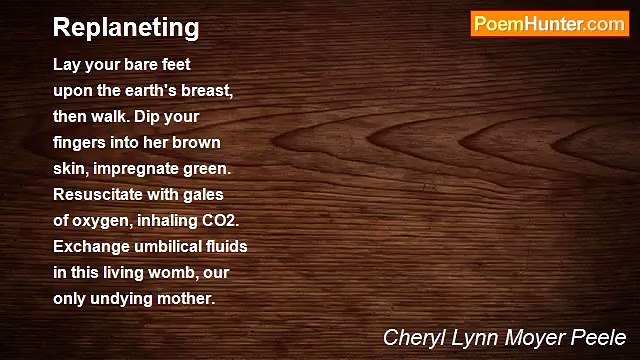 Cheryl Lynn Moyer Peele - Replaneting