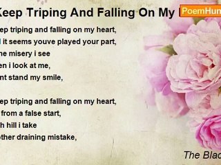 The Black Rose - I Keep Triping And Falling On My Heart