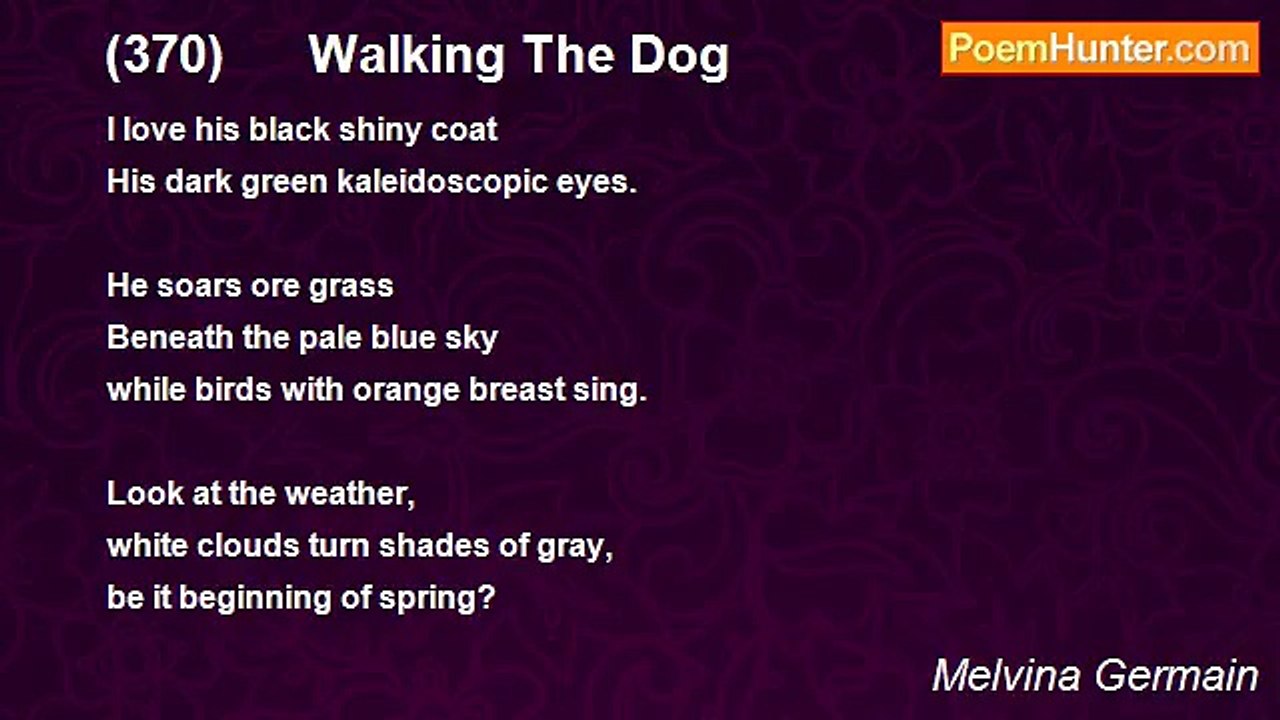 Melvina Germain - (370)      Walking The Dog