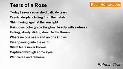 Patricia Gale - Tears of a Rose
