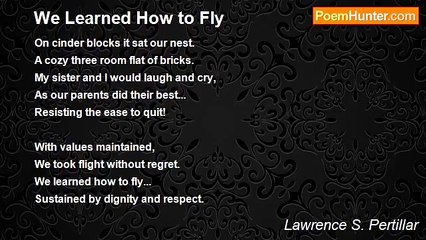 Lawrence S. Pertillar - We Learned How to Fly