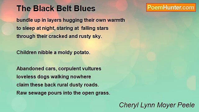 Cheryl Lynn Moyer Peele - The Black Belt Blues