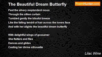 Lilac Wine - The Beautiful Dream Butterfly