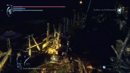 Demon's Souls Wanderer Walkthrough Part 14