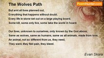 Evan Skora - The Wolves Path