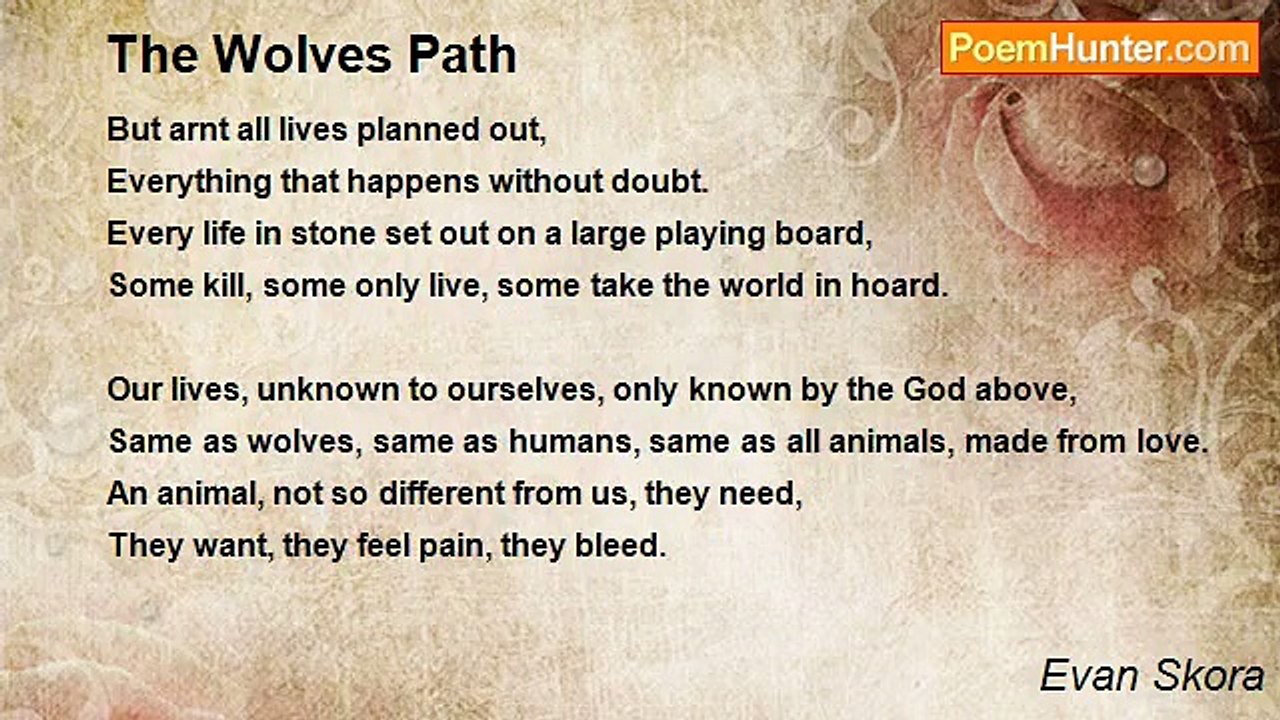 Evan Skora - The Wolves Path