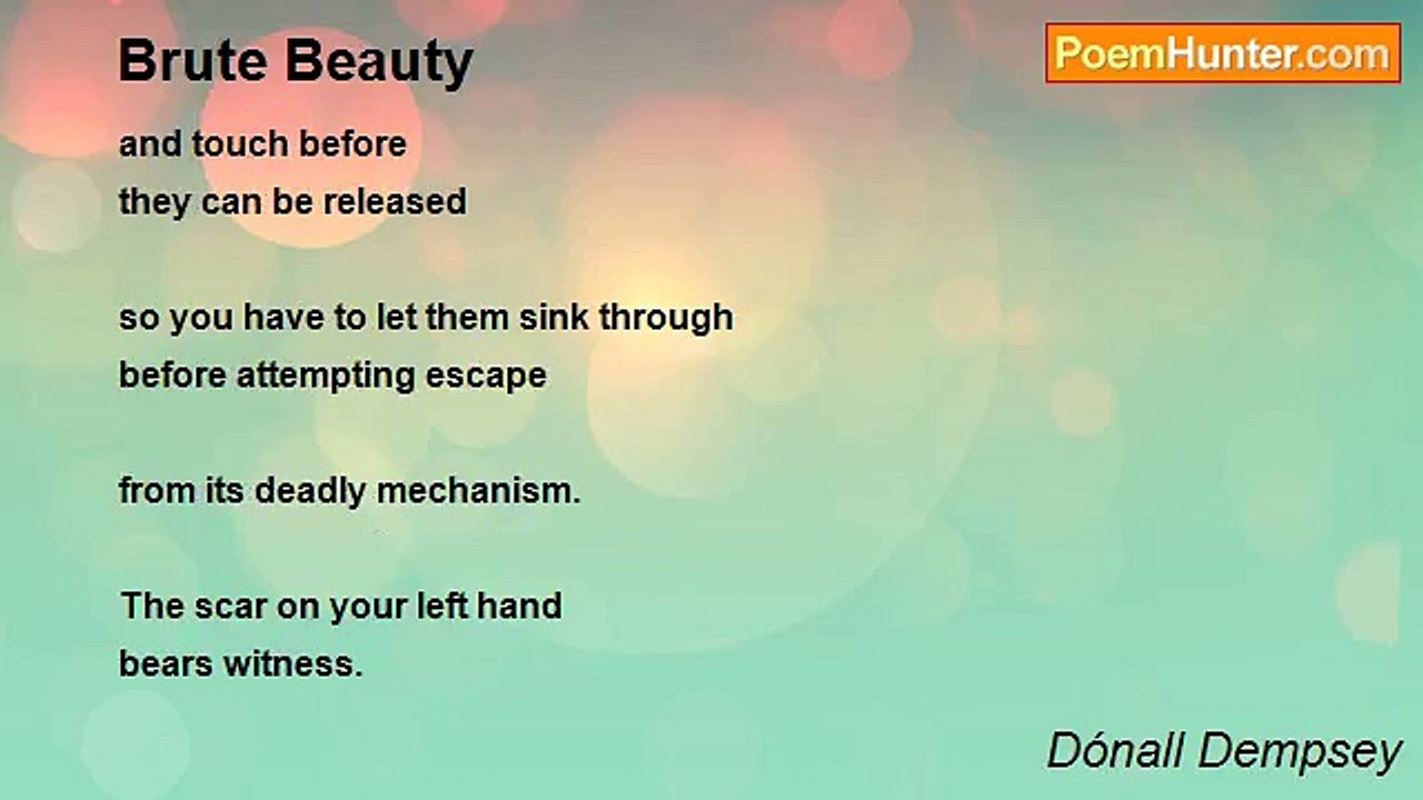 Dónall Dempsey - Brute Beauty
