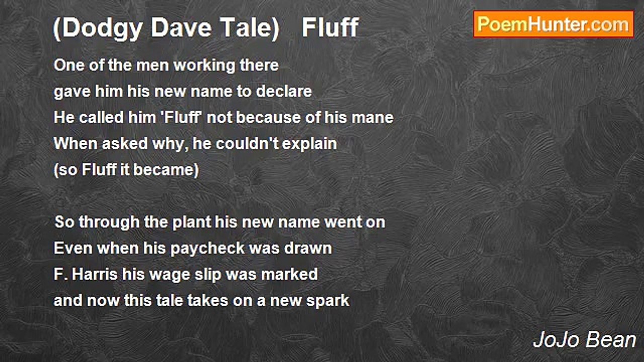 JoJo Bean - (Dodgy Dave Tale)   Fluff