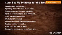 Ted Sheridan - Can't See My Princess for the Trees