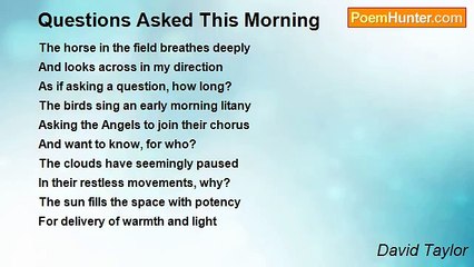 David Taylor - Questions Asked This Morning