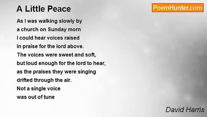 David Harris - A Little Peace