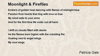 Patricia Gale - Moonlight & Fireflies