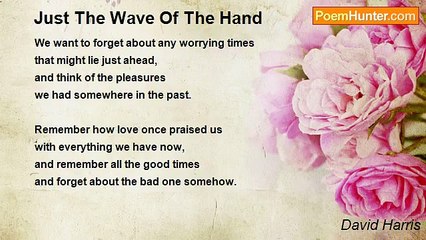 David Harris - Just The Wave Of The Hand