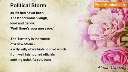 Alison Cassidy - Political Storm