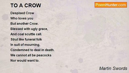 Martin Swords - TO A CROW