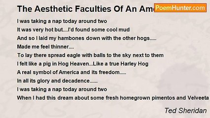 Ted Sheridan - The Aesthetic Faculties Of An American Icon