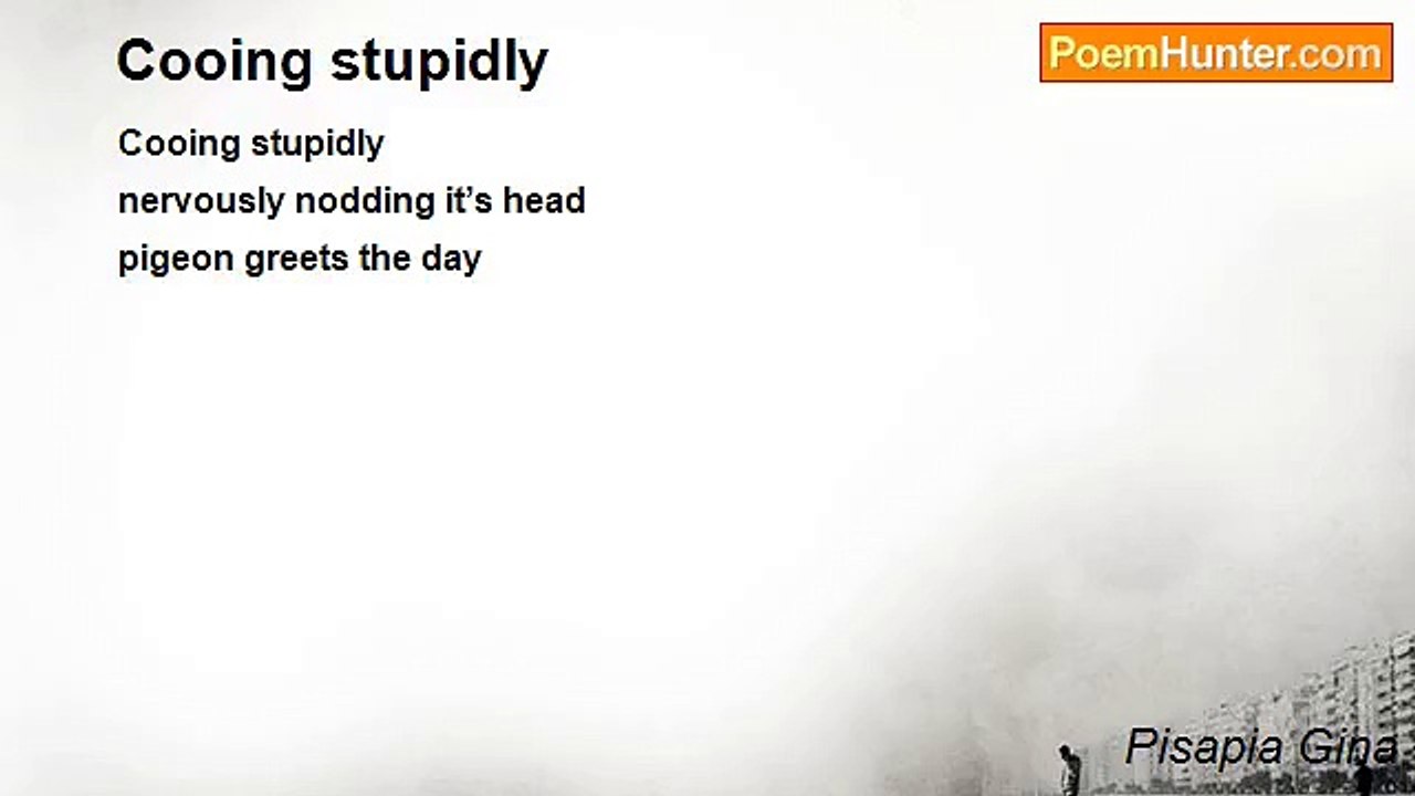 Pisapia Gina - Cooing stupidly