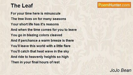 JoJo Bean - The Leaf